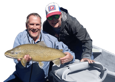 San Juan River Brown Trout