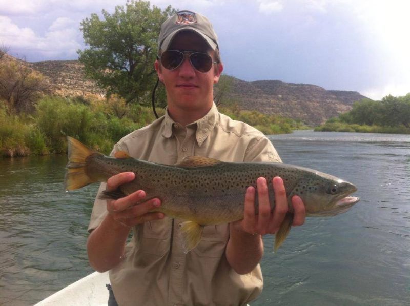 Brown Trout, San Juan River FlyFishing